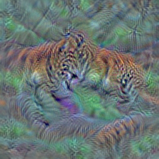n02129165 lion, king of beasts, Panthera leo